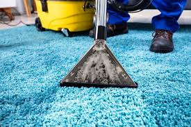 Naturally Green Cleaning Carpet Cleaning For Homes And Businesses
